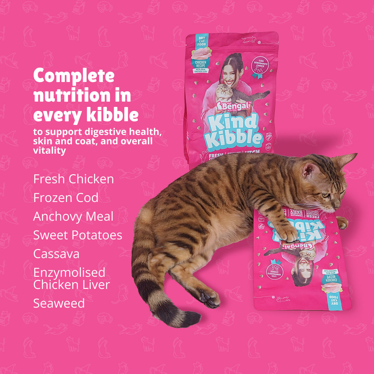 6+1 Prof. Bengal Kind Kibble 1kg