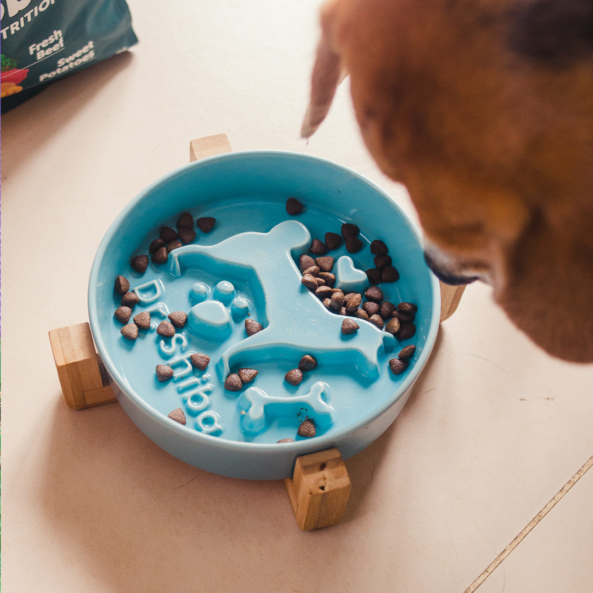 Dr. Shiba Bowls