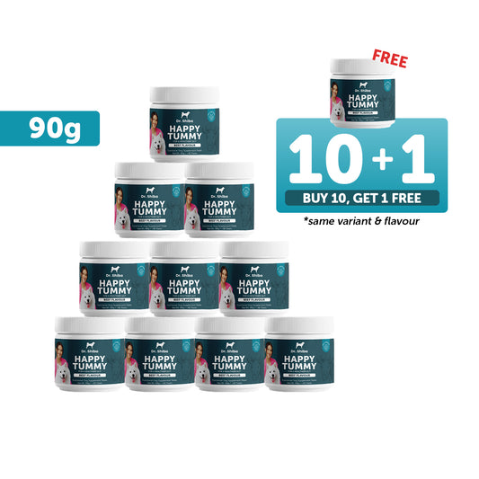 10+1 Promo: Dr. Shiba Happy Tummy - Beef (90 g)