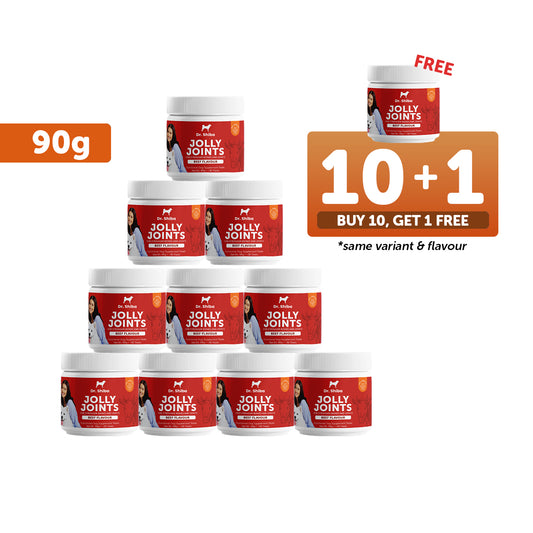 10+1 Promo: Dr. Shiba Jolly Joints - Beef (90 g)