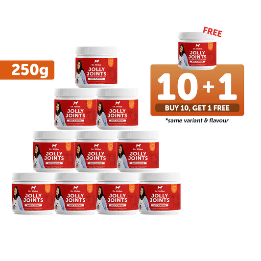 10+1 Promo: Dr. Shiba Jolly Joints (250 g)