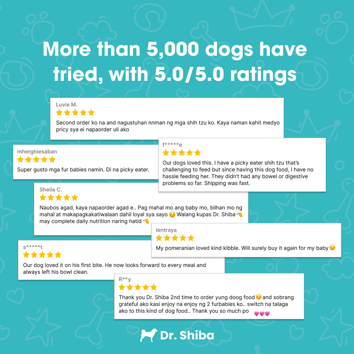500g Dr. Shiba's Kind Kibble - Balanced & Complete Daily Nutrition for Dogs