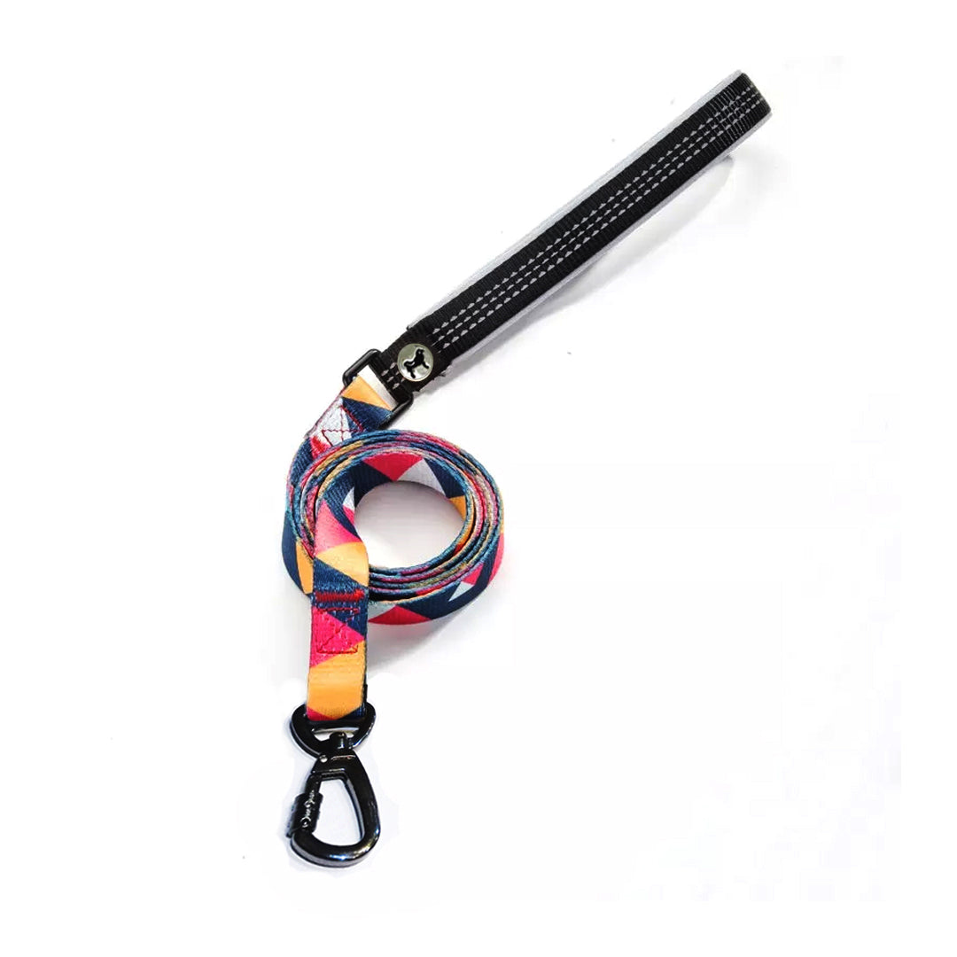 Dr. Shiba Leash