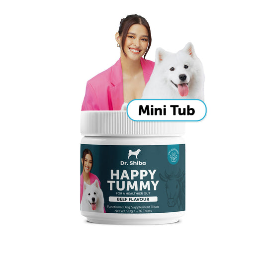 Happy Tummy -  Mini Tub - Probiotic Dog Supplement Treats For A Healthy Gut