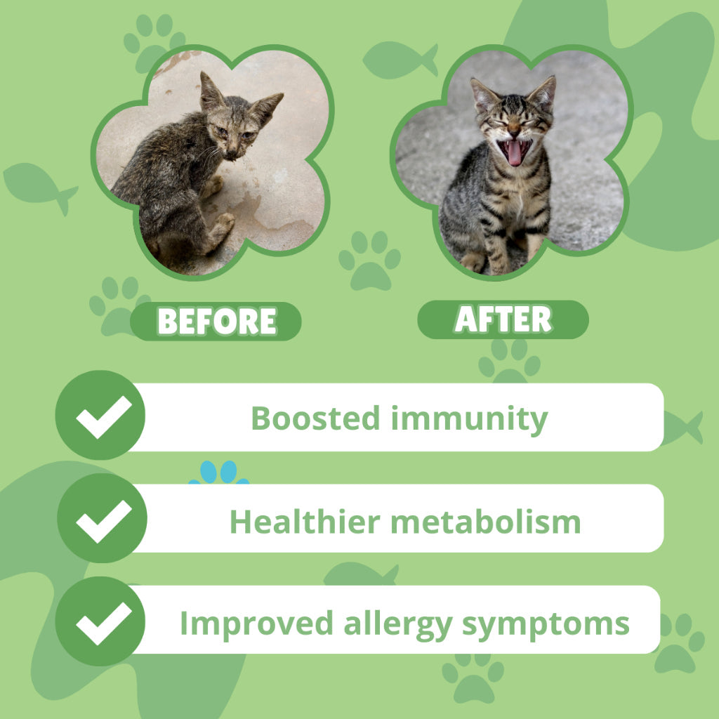 Pro Immune -  Cat Supplement Treats for a Strong Immune System