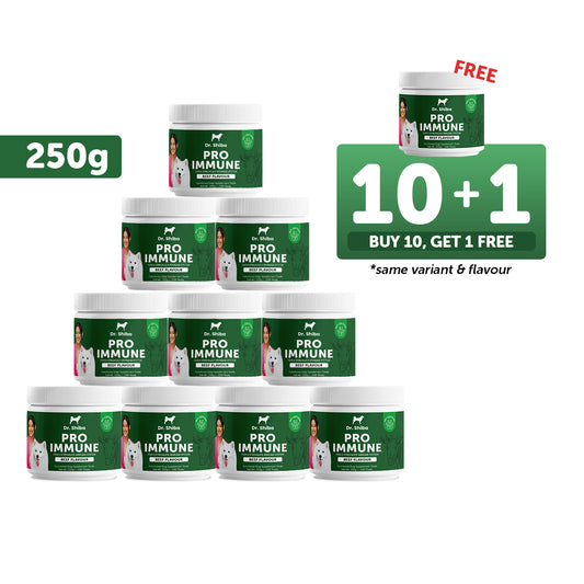 10+1 Promo: Dr. Shiba Pro Immune (250 g)