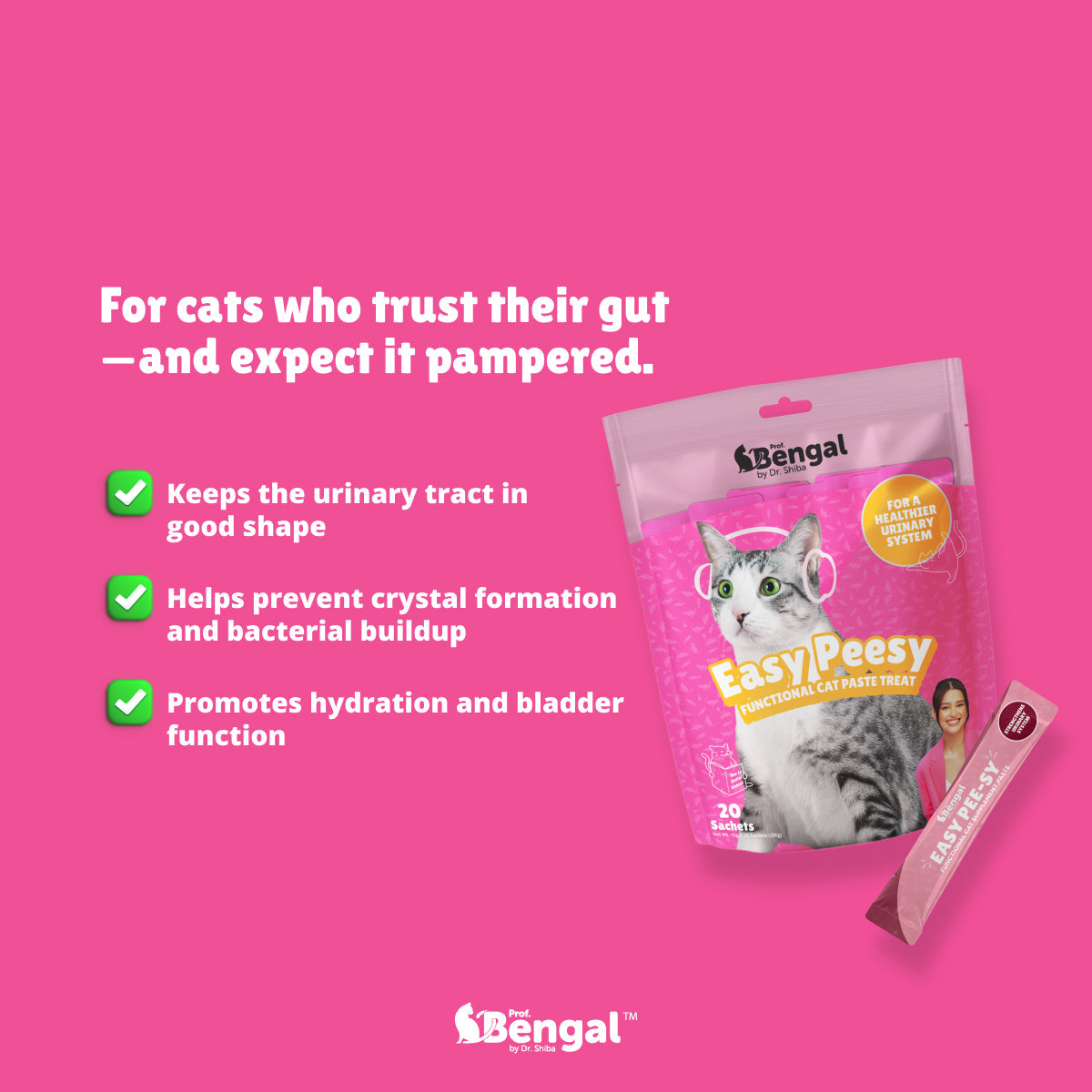 10+2 Prof. Bengal Cat Paste - Easy Peesy