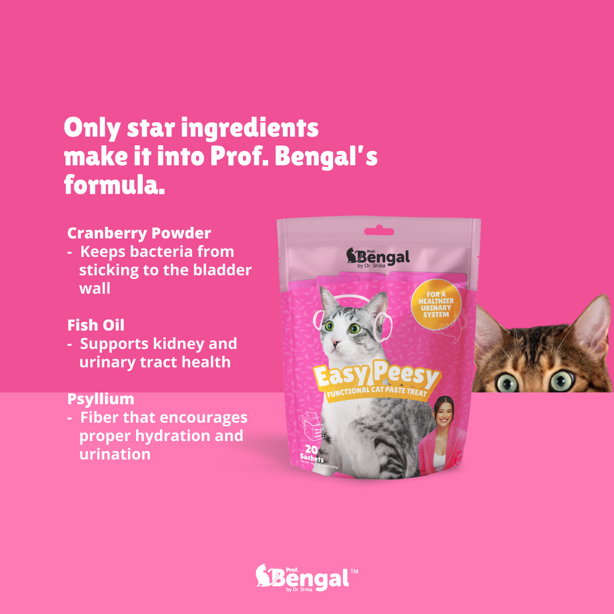 10+2 Prof. Bengal Cat Paste - Easy Peesy