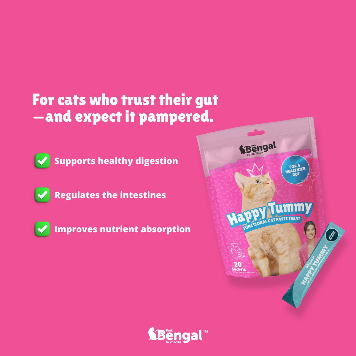 10+2 Prof. Bengal Cat Paste - Happy Tummy