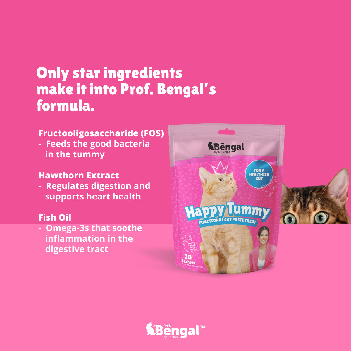 10+2 Prof. Bengal Cat Paste - Happy Tummy
