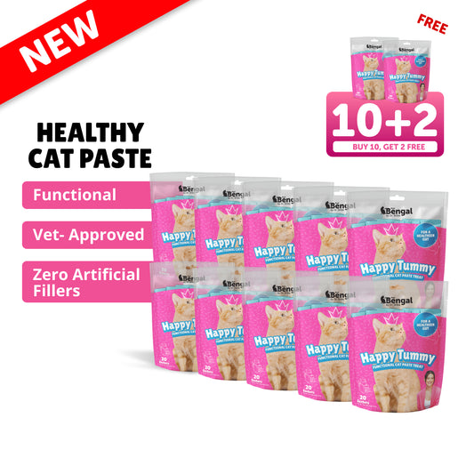 10+2 Prof. Bengal Cat Paste - Happy Tummy
