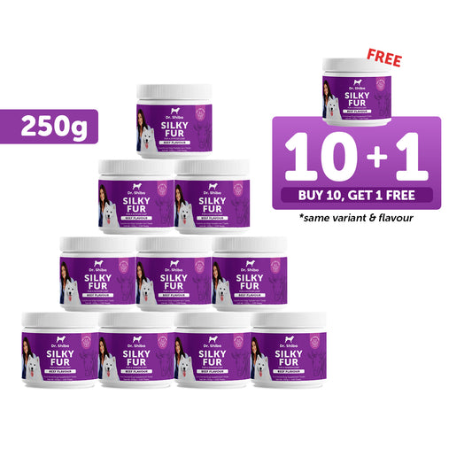 10+1 Promo: Dr. Shiba Silky Fur (250 g)