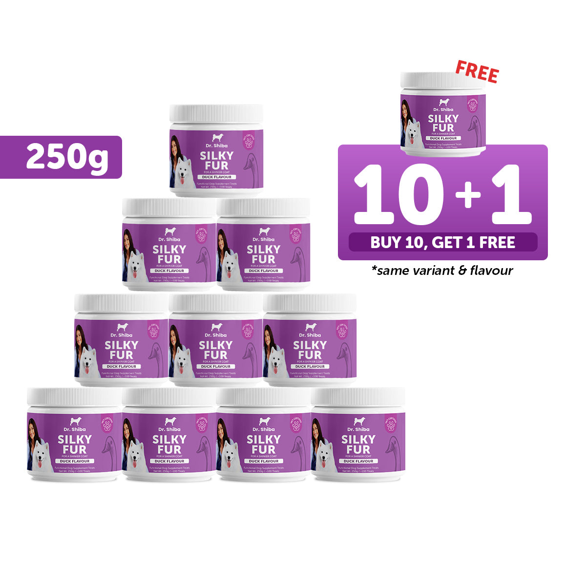 10+1 Promo: Dr. Shiba Silky Fur (250 g)