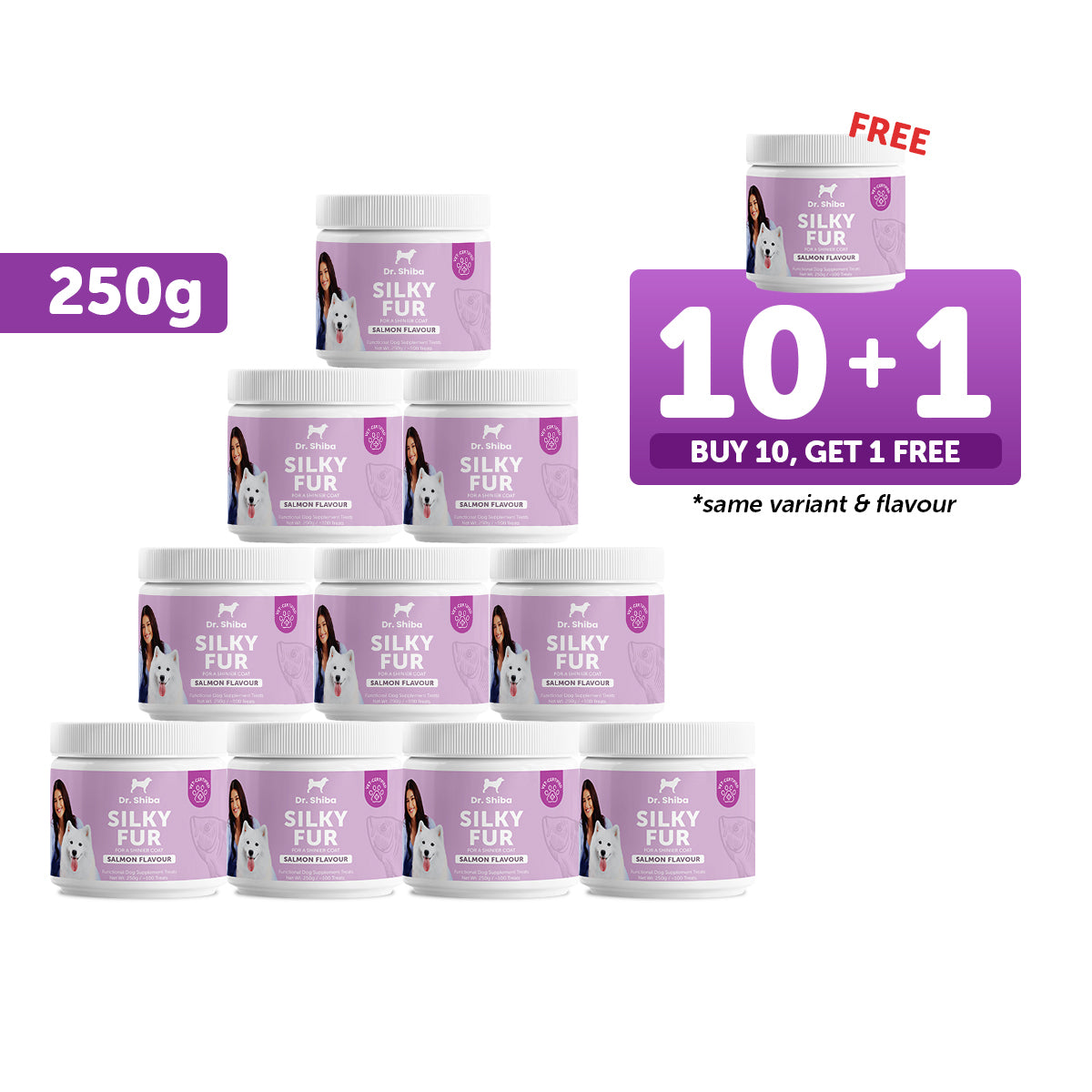 10+1 Promo: Dr. Shiba Silky Fur (250 g)